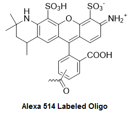 Bio-Synthesis Inc. Oligo Structure